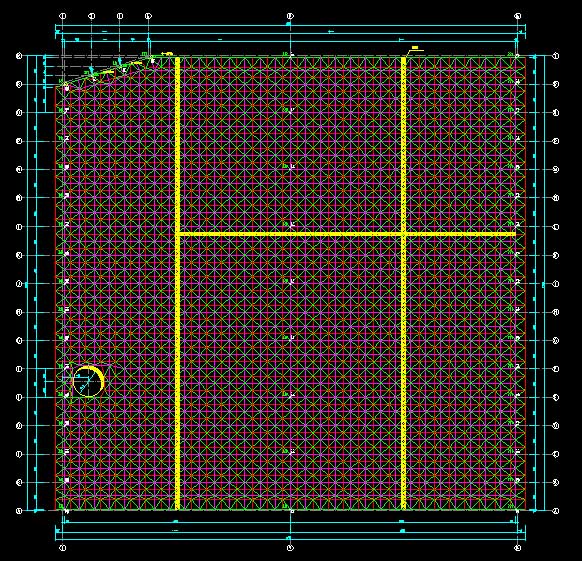北辰东营金岭化工大王煤棚网架